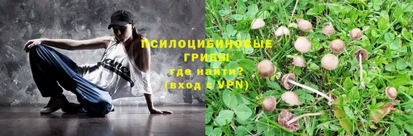 МДПВ Михайлов