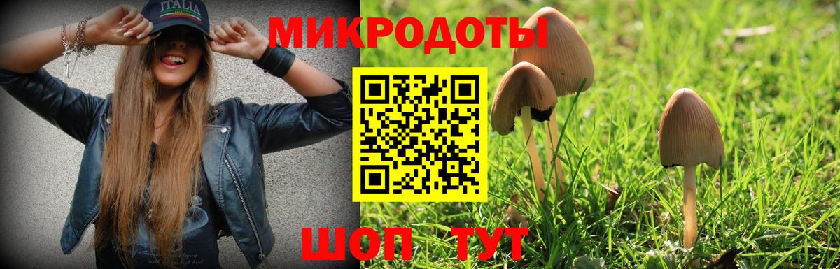купить наркотики цена  Вход с VPN  Копейск  Псилоцибиновые грибы MAGIC MUSHROOMS 